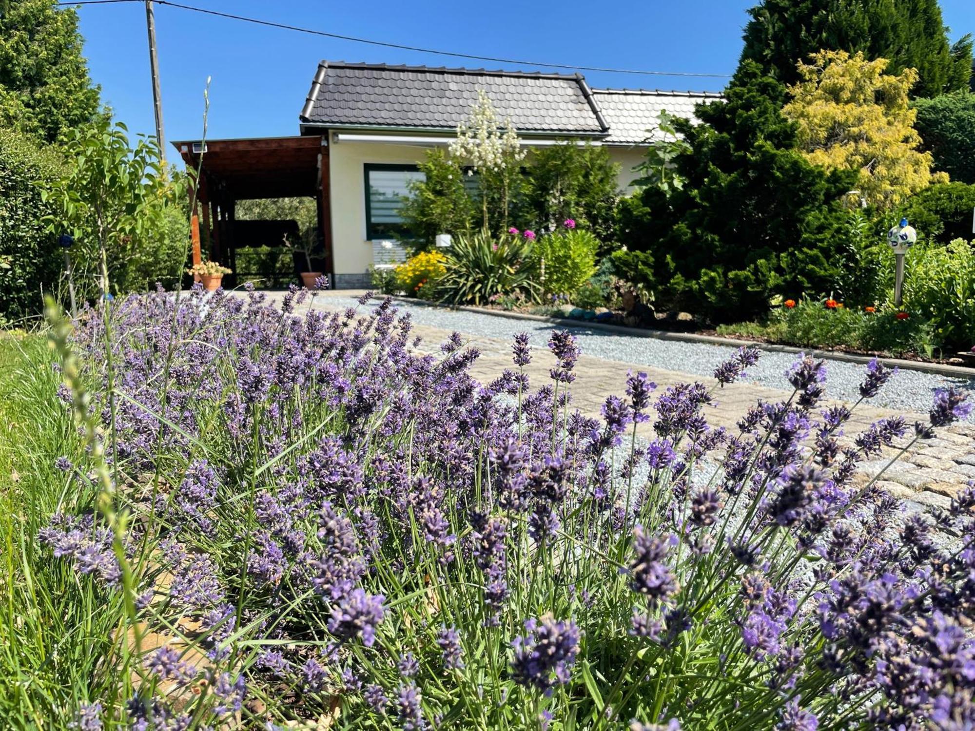 Ferienhaus Amare Mit Fasssauna, Eigener Terrasse & Kamin Budziszyn Zewnętrze zdjęcie